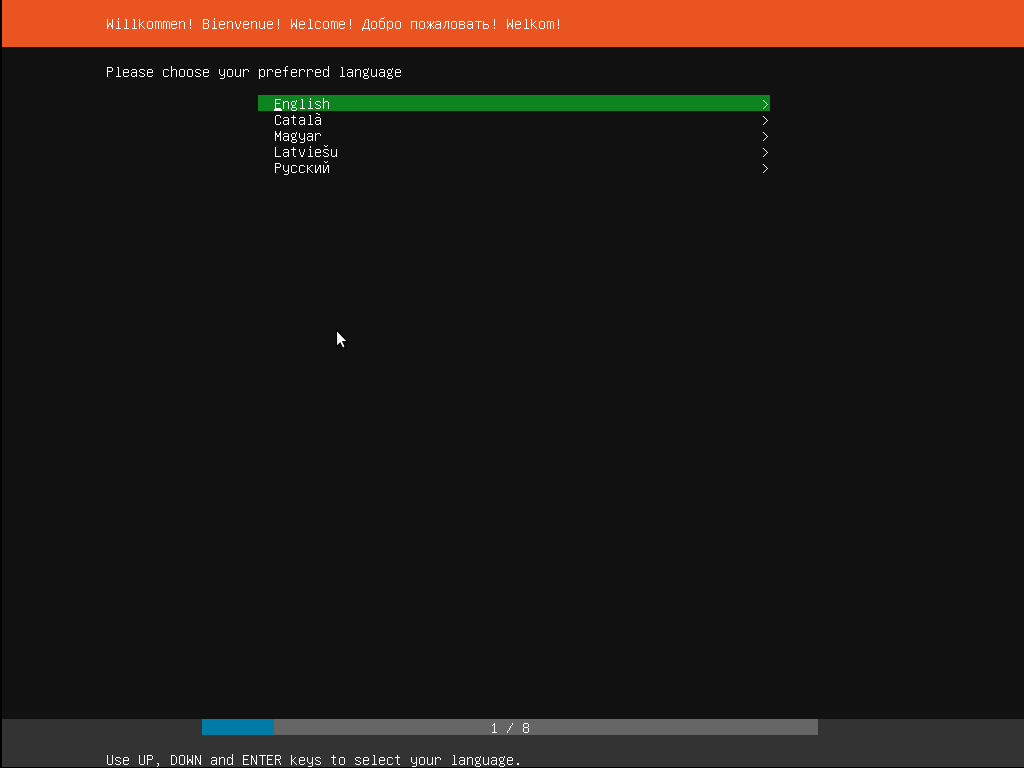Ubuntu scelta della lingua