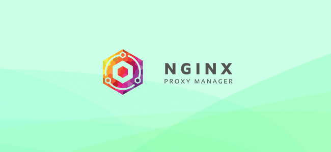 Nginx Proxy Manager con Docker: Reverse Proxy SSL